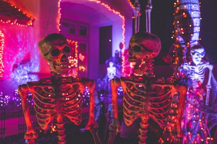 Skeletons in front of decorated house for Halloween