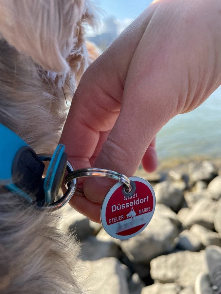 A German dog tax tag